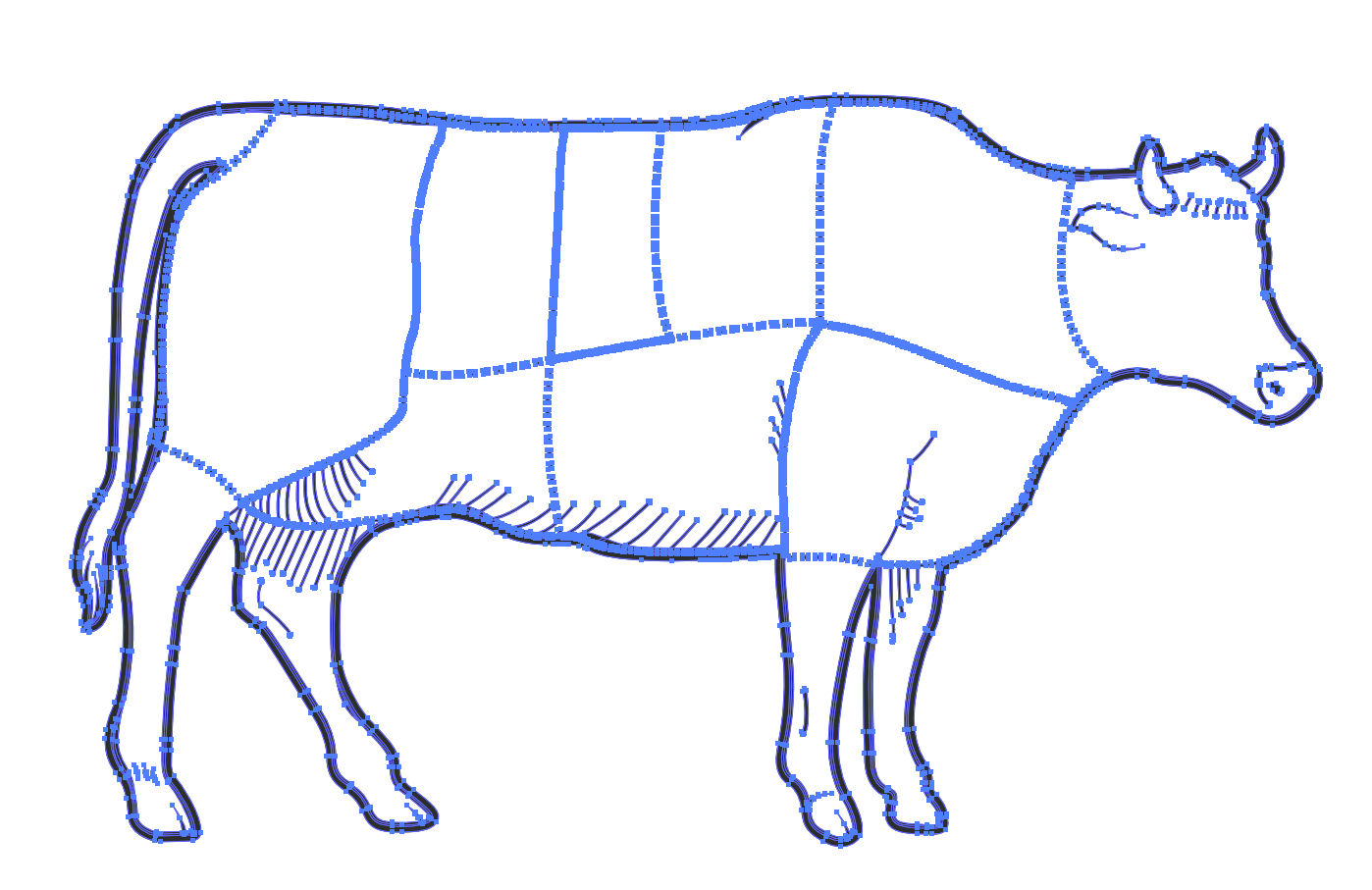 Beef Cuts Diagram Vector