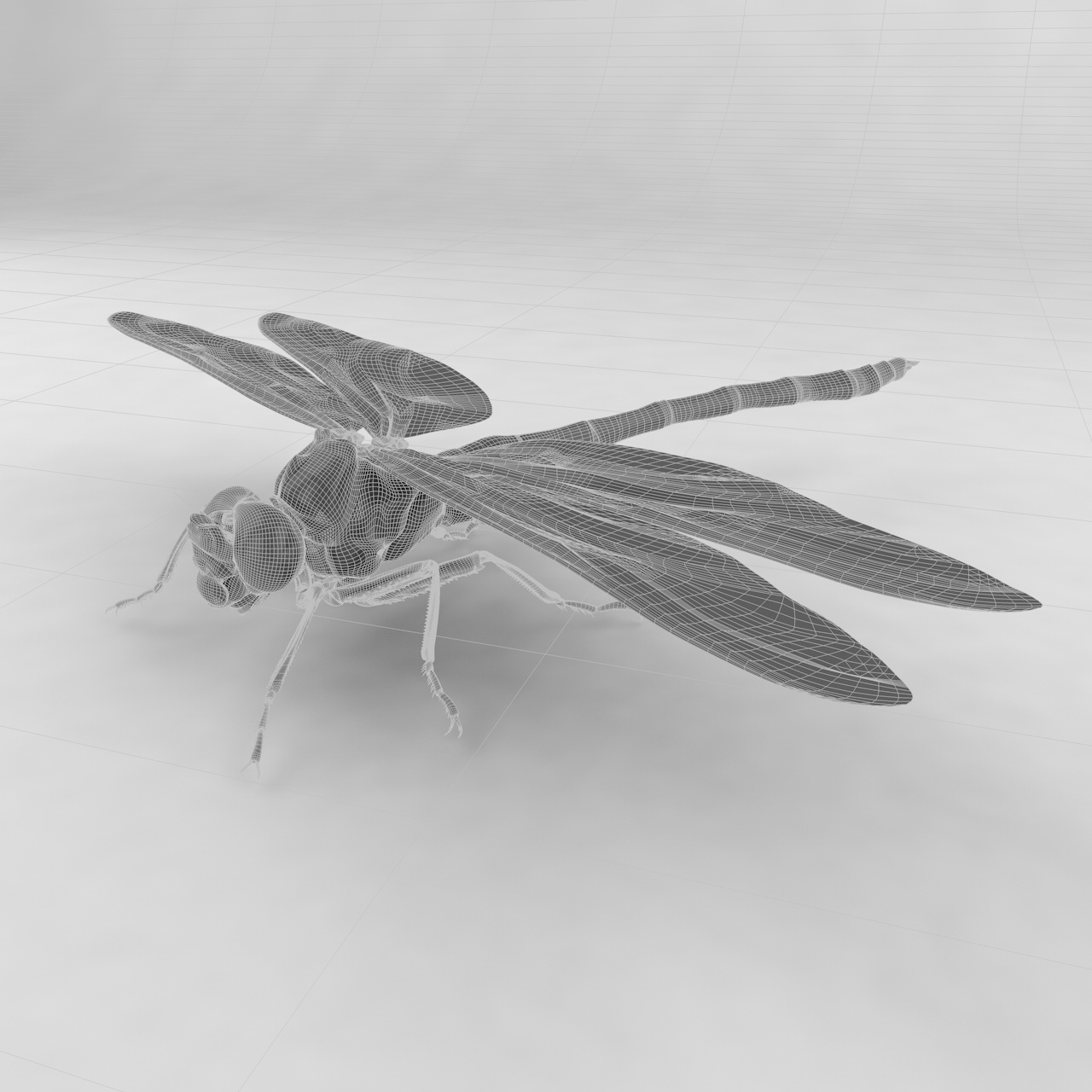 蜻蜓昆虫3D模型