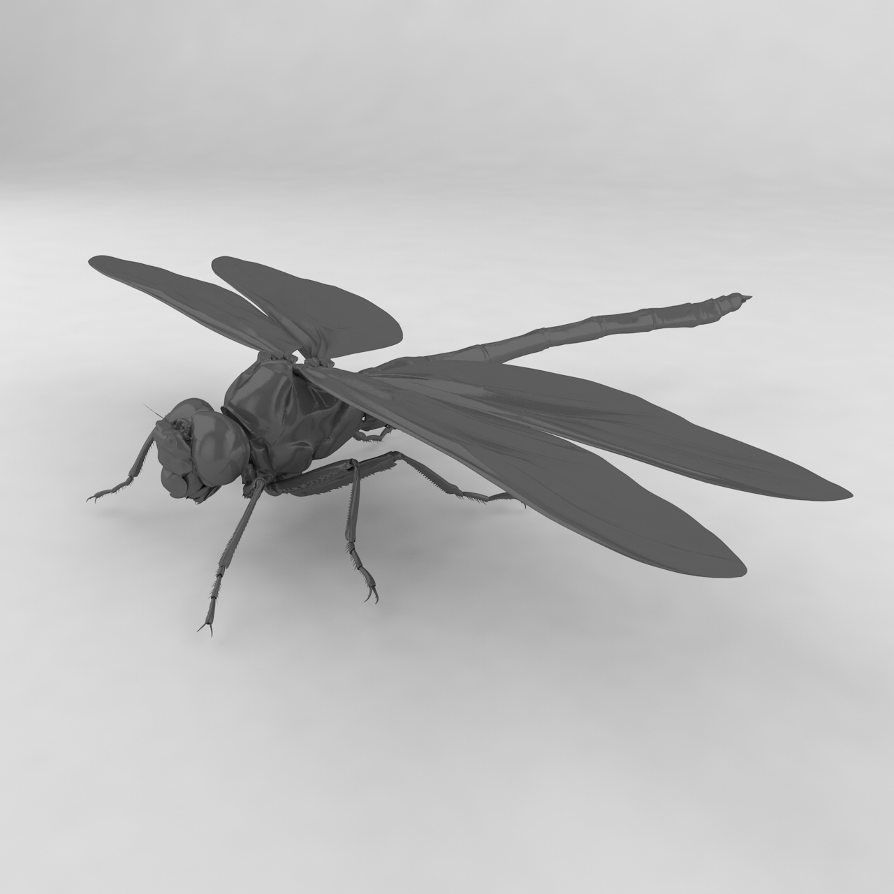 蜻蜓昆虫3D模型