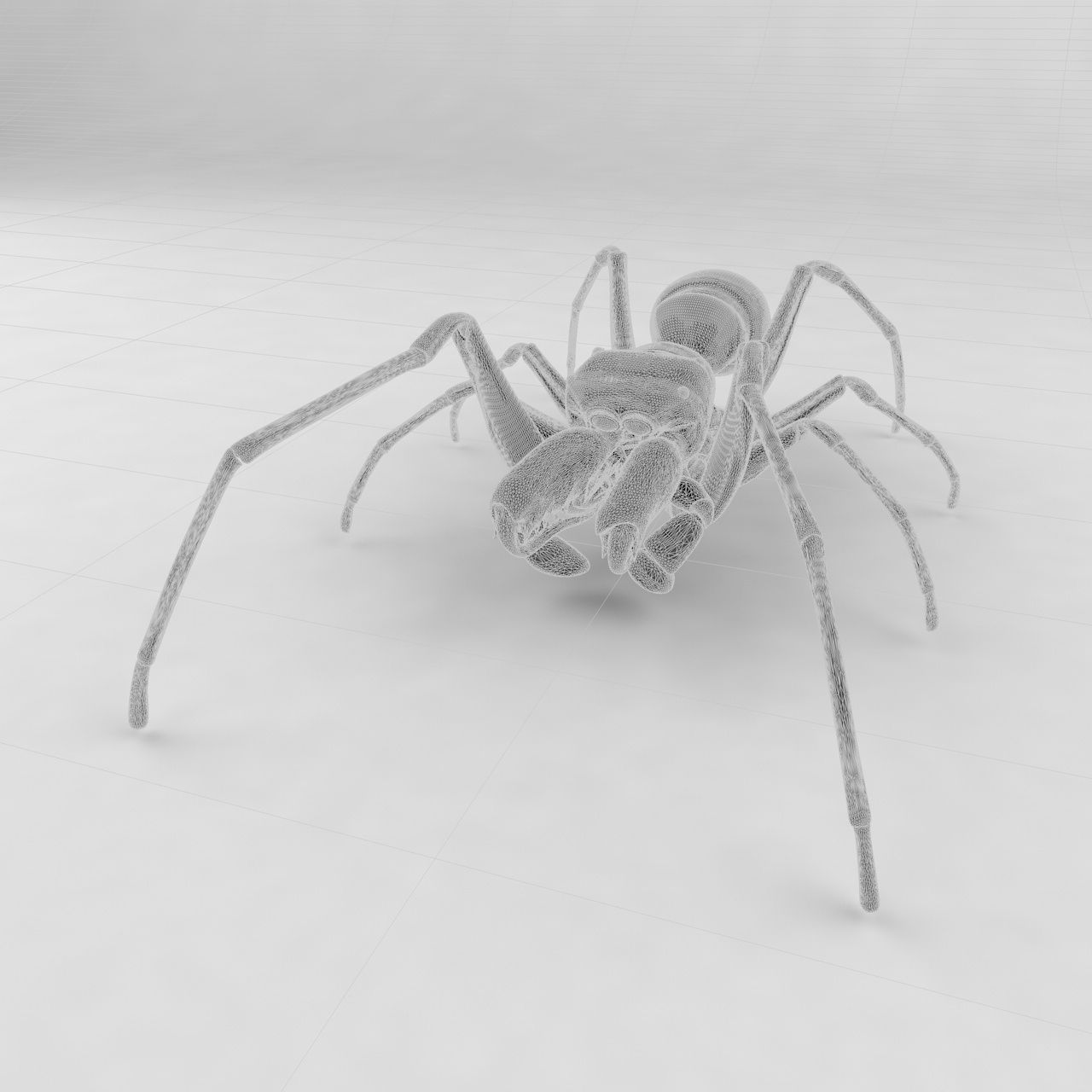 Antmimicking spider insect 3d model