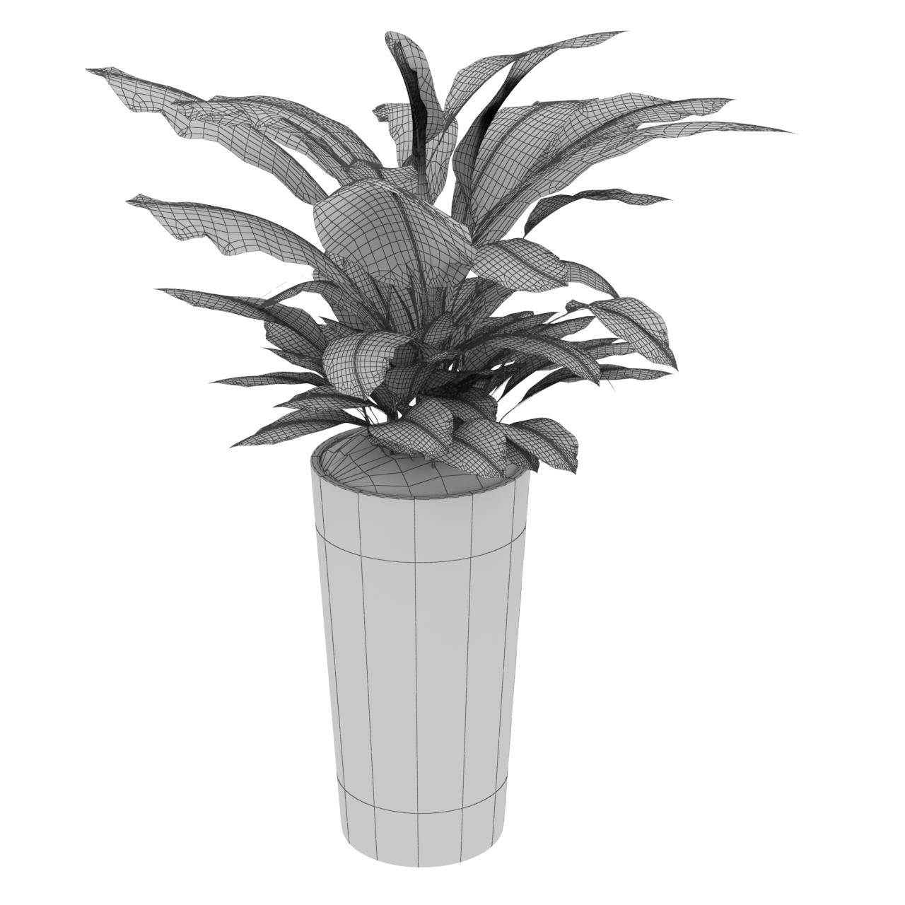 велики широки лист широколисни биљке у саксији 3д модел