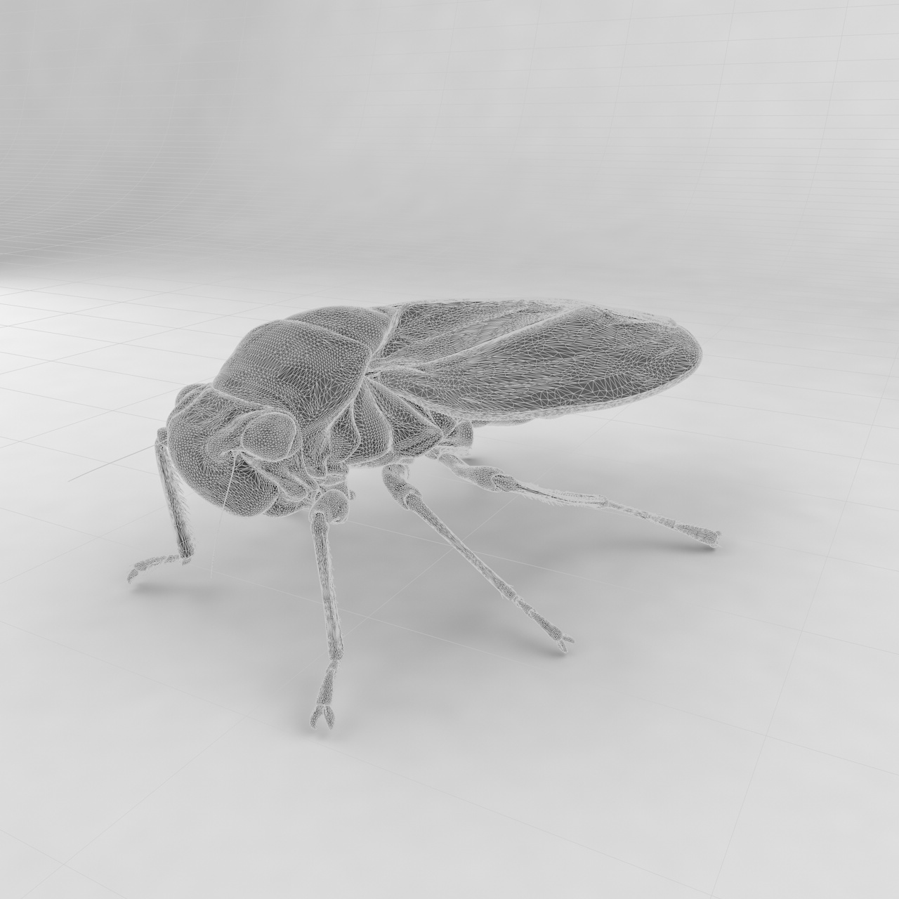 黑尖叶蝉昆虫3D模型