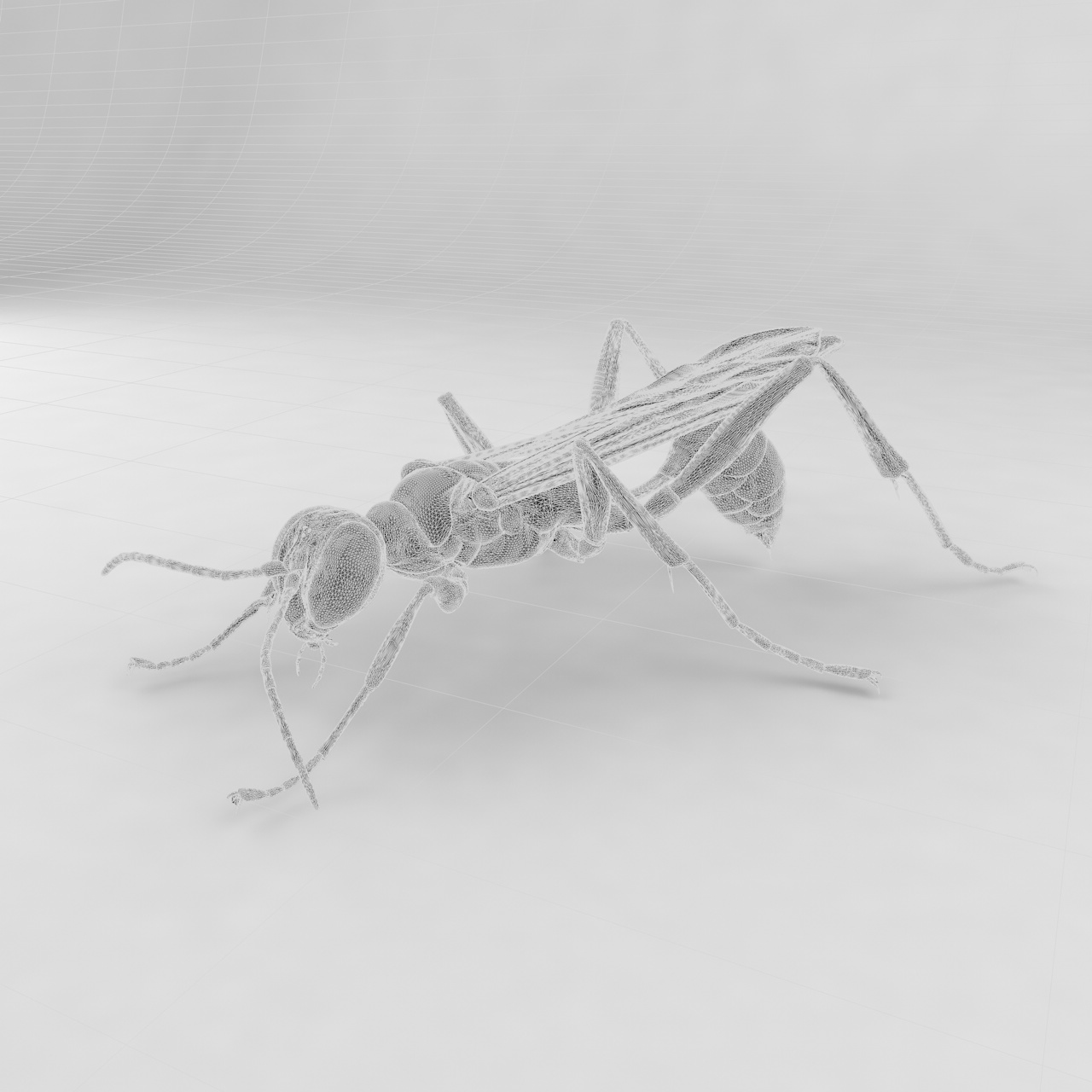 Blue mud dauber wasp insect 3d model