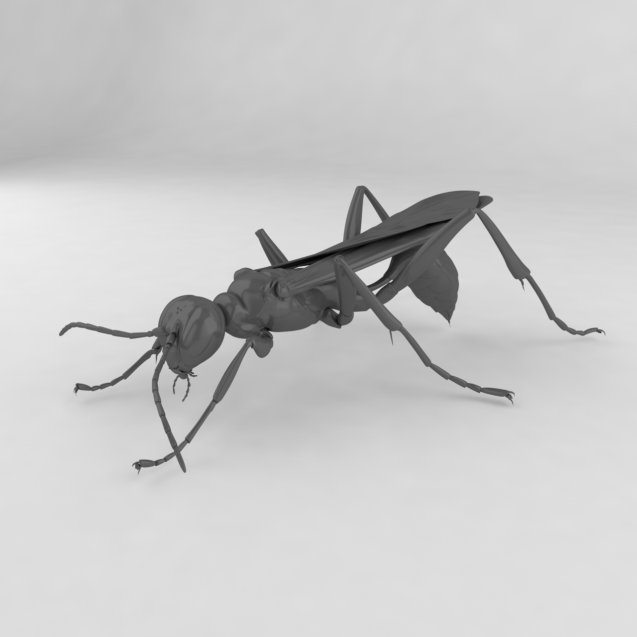 蓝泥涂抹杜鹃黄蜂昆虫3D模型
