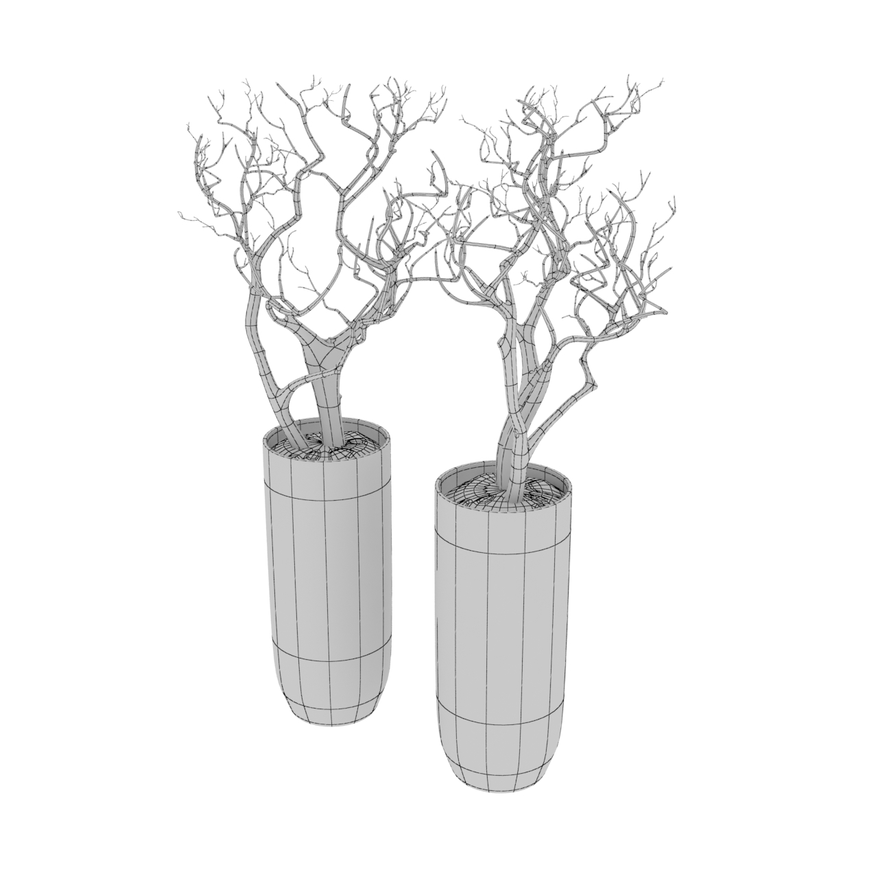 bonsai 3d modeli