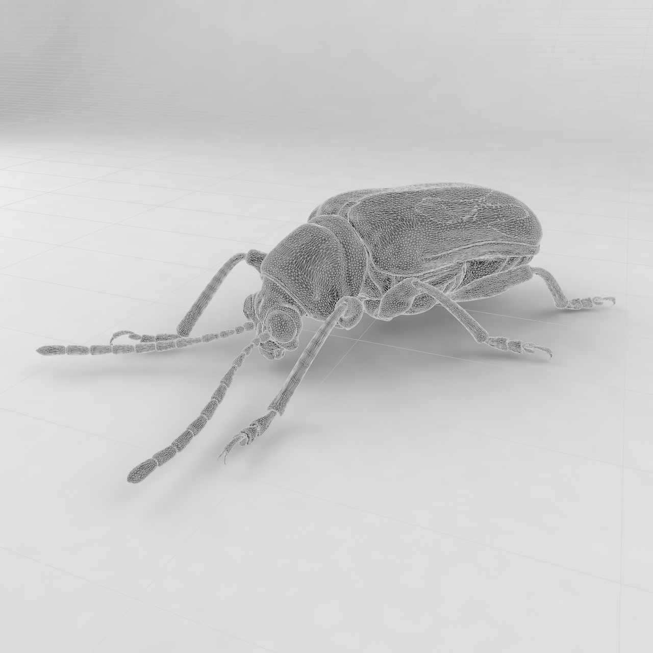 Dioscorea leaf beetle insect beetles 3d model