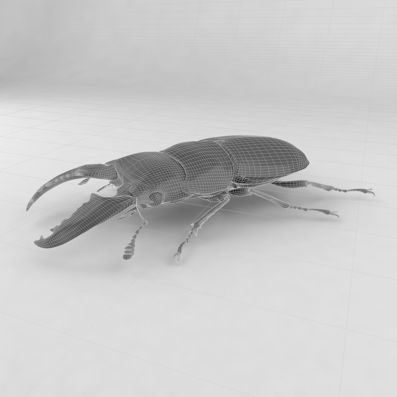 Dorcus titanus insect beetles 3d model