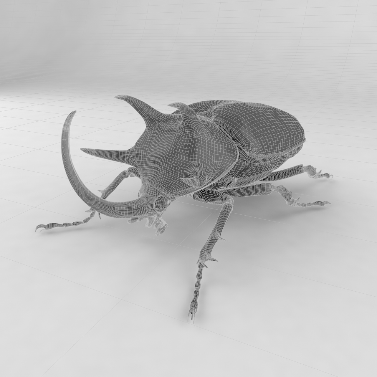 Eupatorus gracilicornis insect beetles 3d model