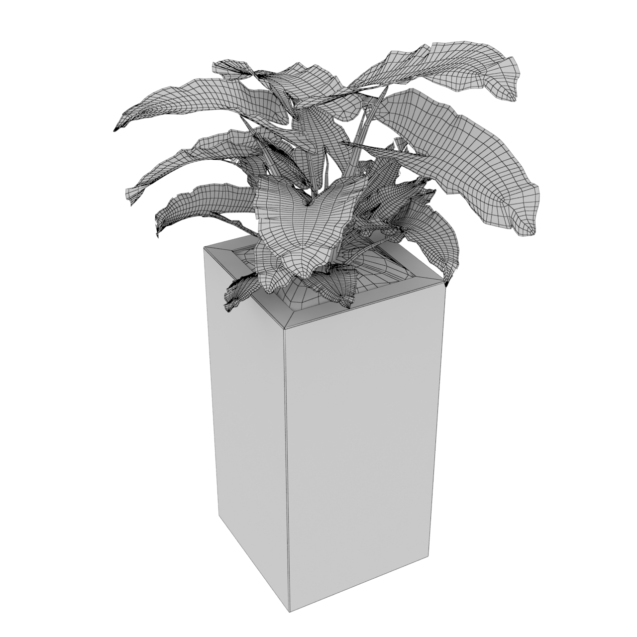 foliage plants 3d model