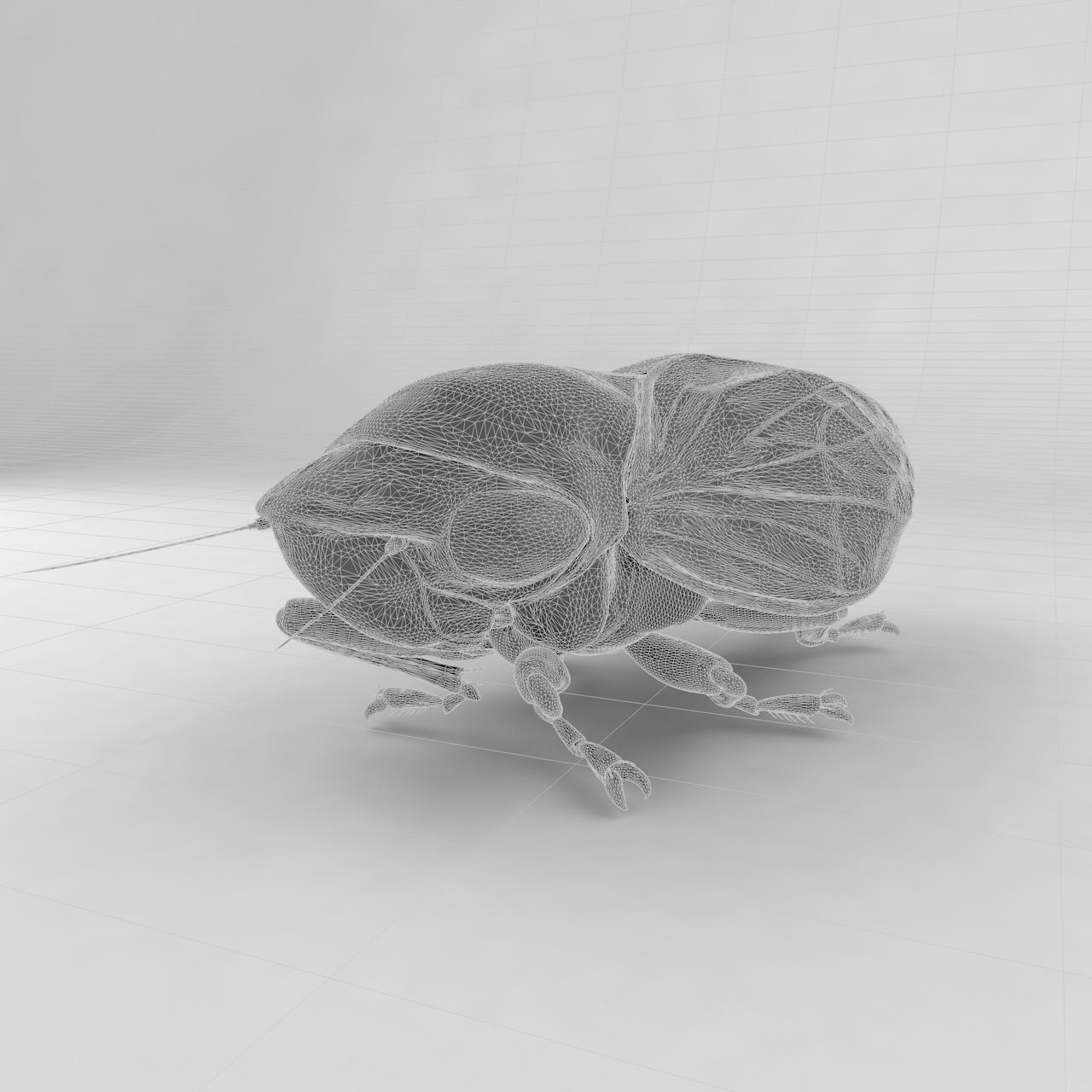 Froghopper insect beetles 3d model