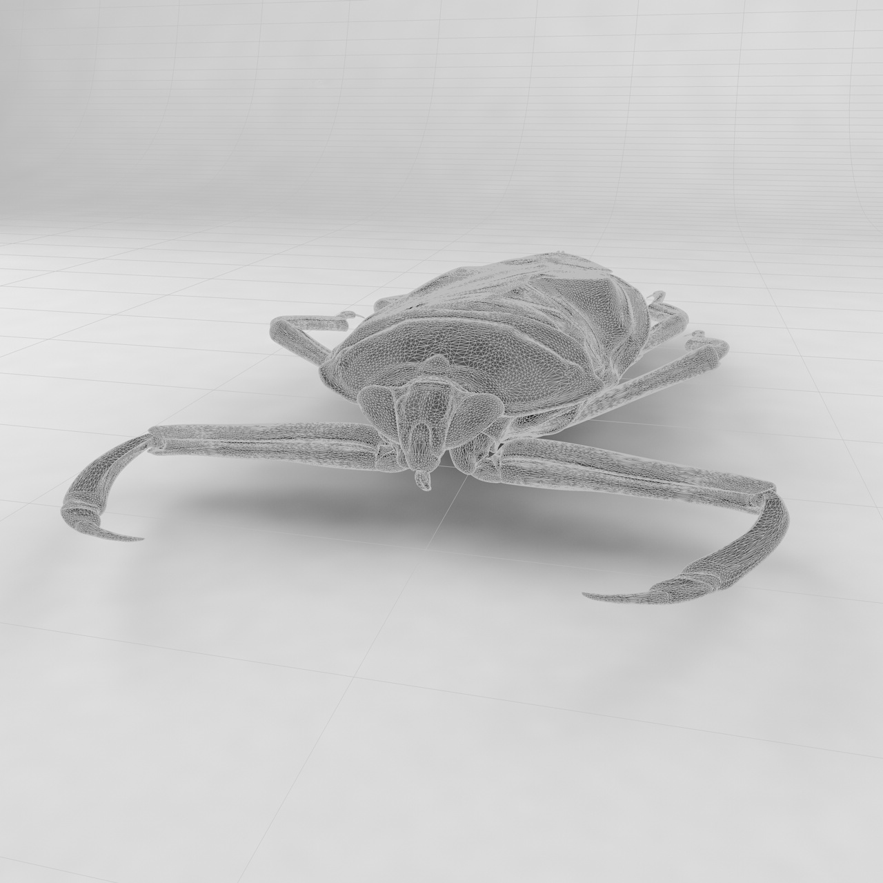 Giant water bug insect beetles 3d model