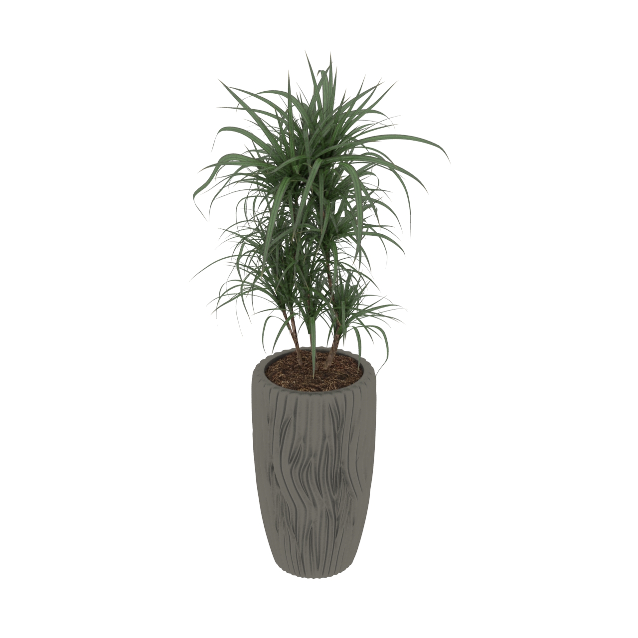 greenery plants potted 3d model