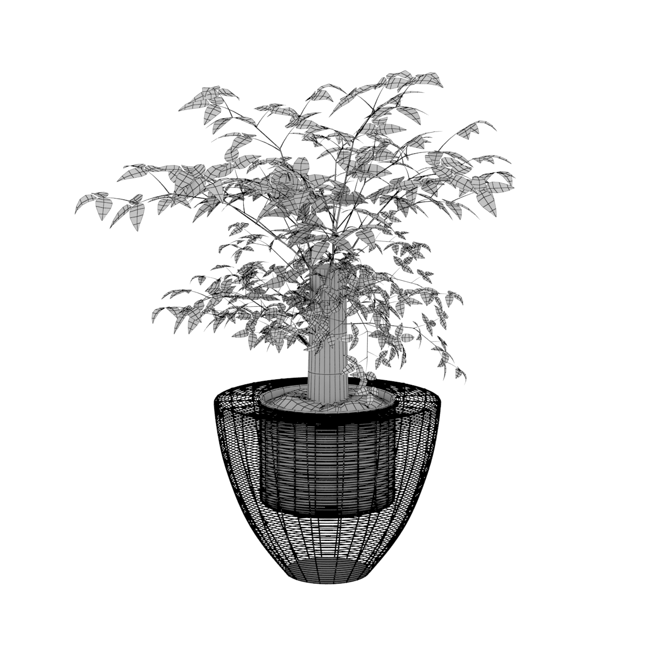 Greenery Potted Plants 3d Model