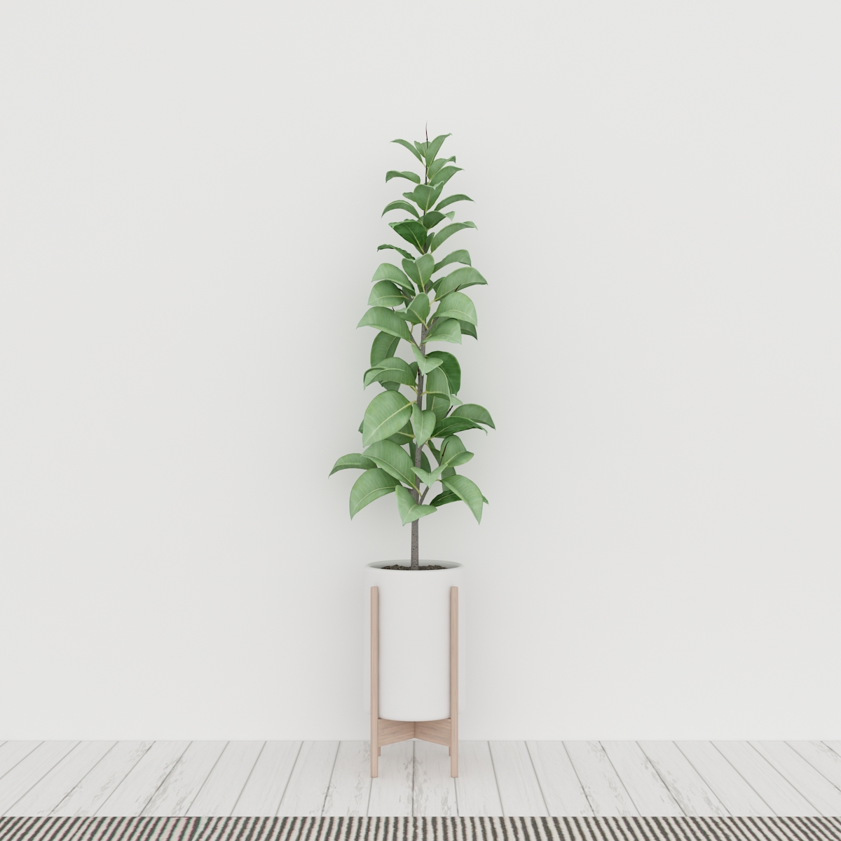 grønn plante 3d model