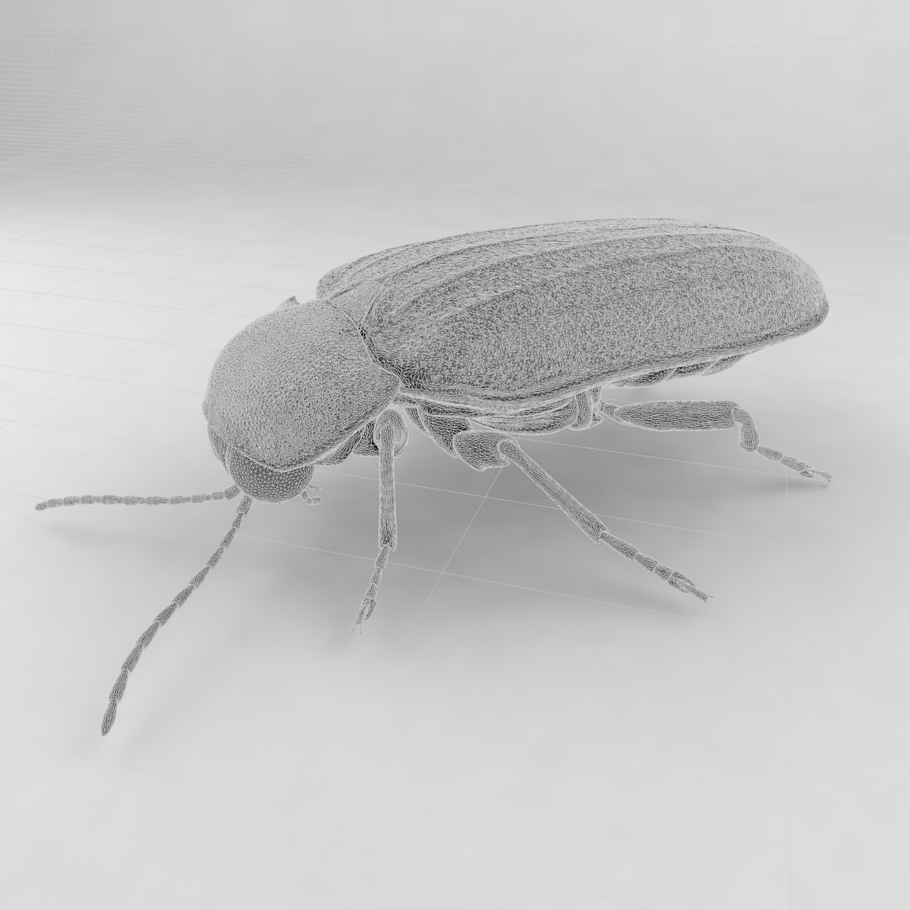 Japanese firefly insect beetles 3d model