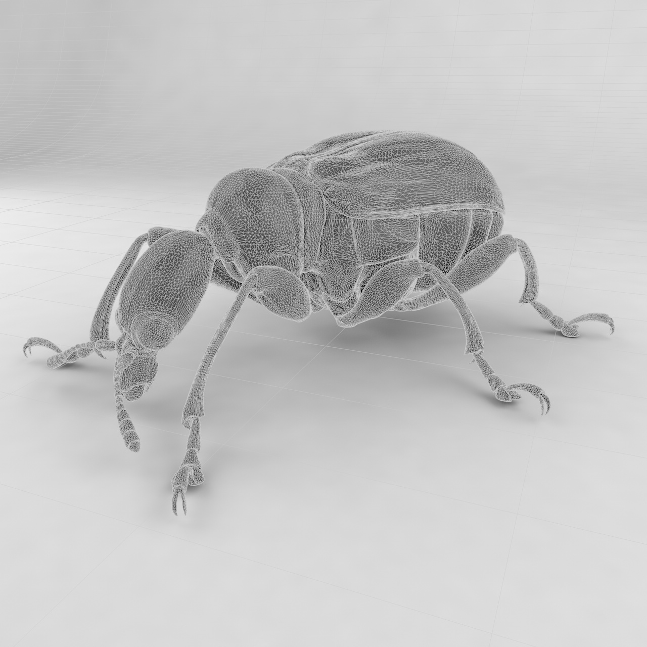 Leaf rolling weevil insert beetles 3d model