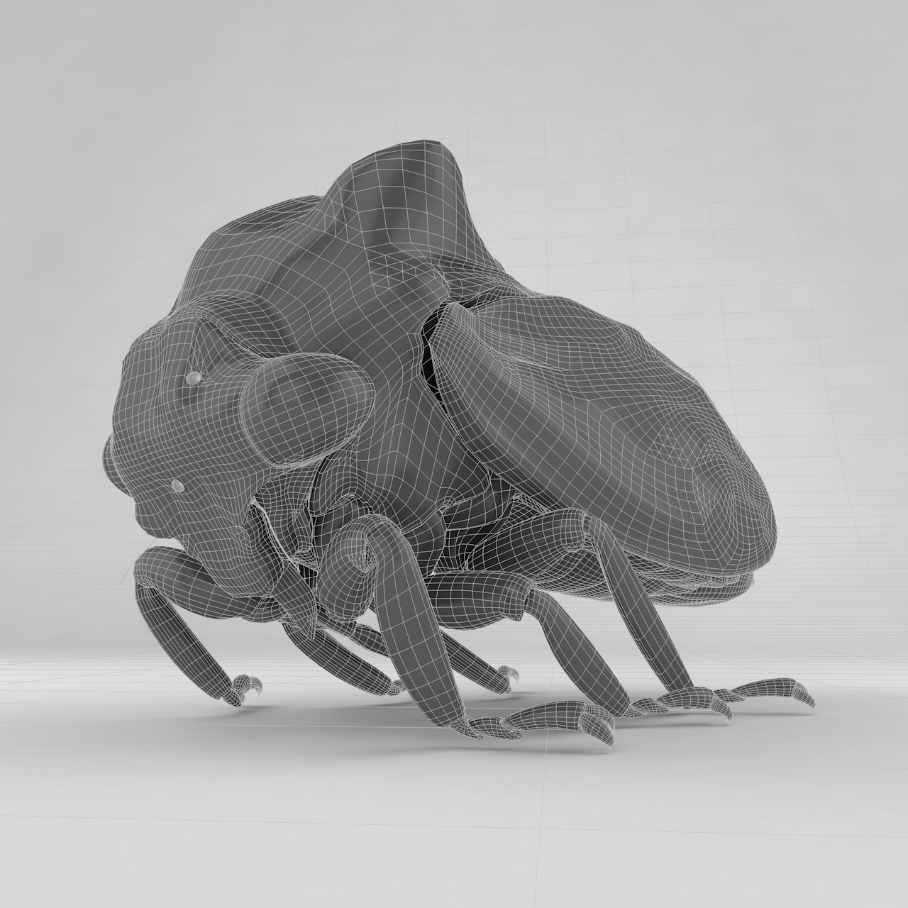 Machaerotypus sibiricus insect beetles 3d model