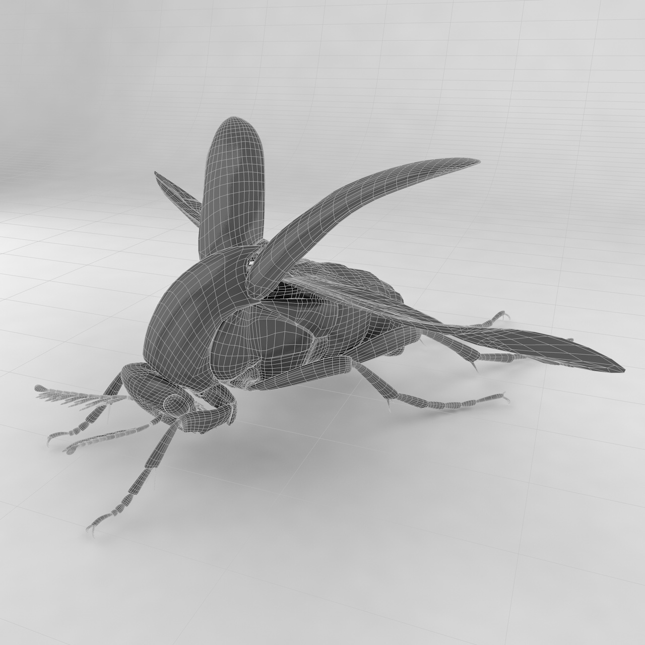 Mordellidae insect beetles 3d model