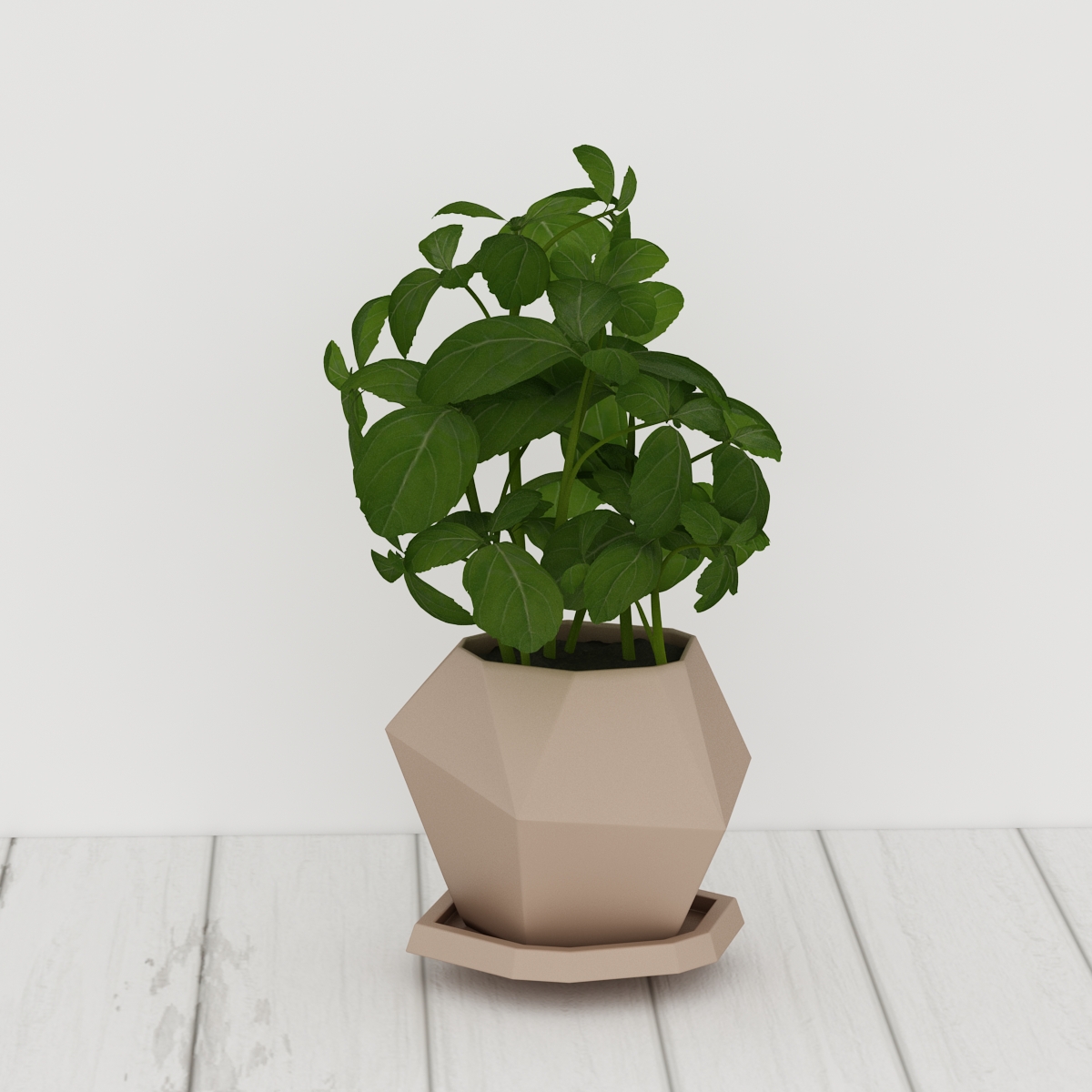 green plant 3d model