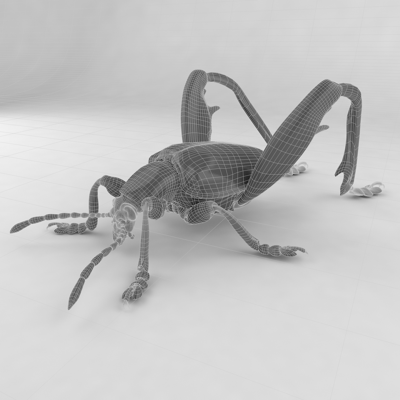 Sagra petelii insect beetles 3d model