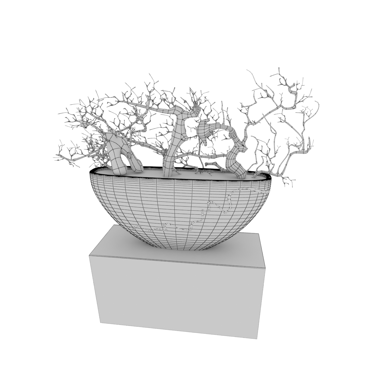 modèle bonsaï arbre 3d