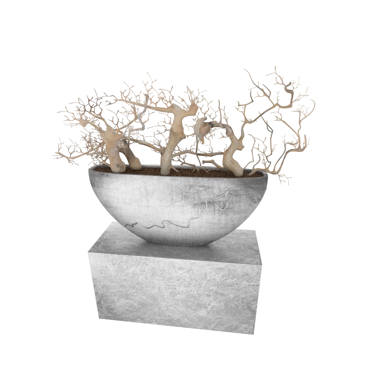 tree bonsai 3d model