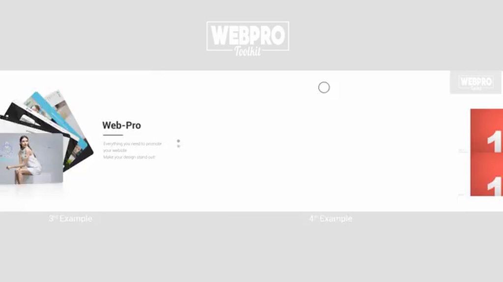 web pro