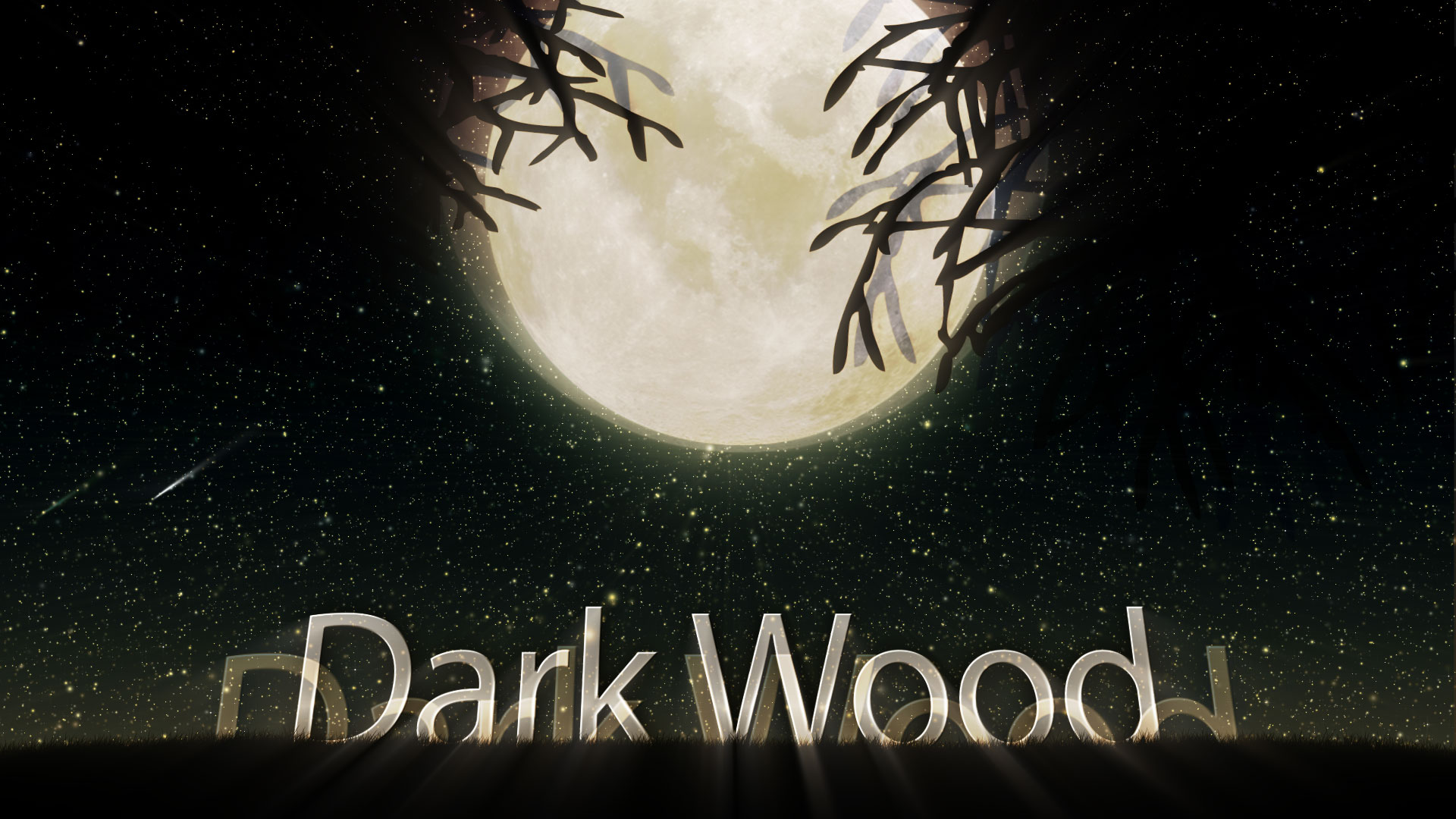 Dark Night Wood Animation Animation Logo