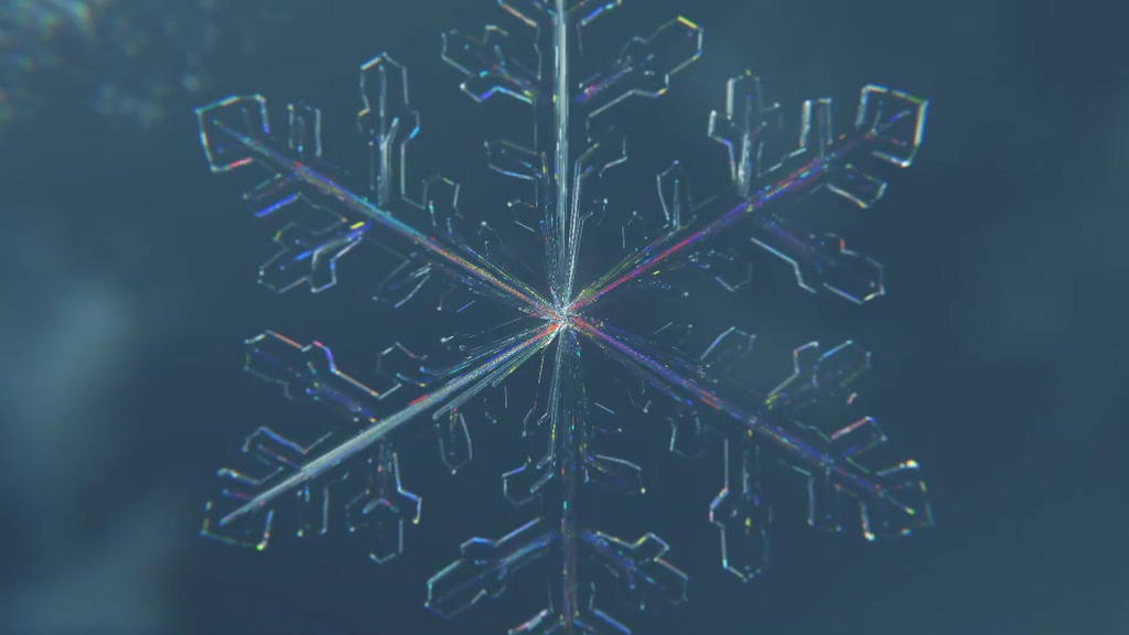 Ice flower cracked animation logo