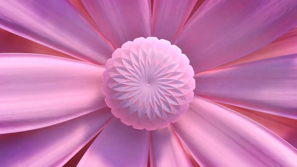 Elegant flower bloom logo
