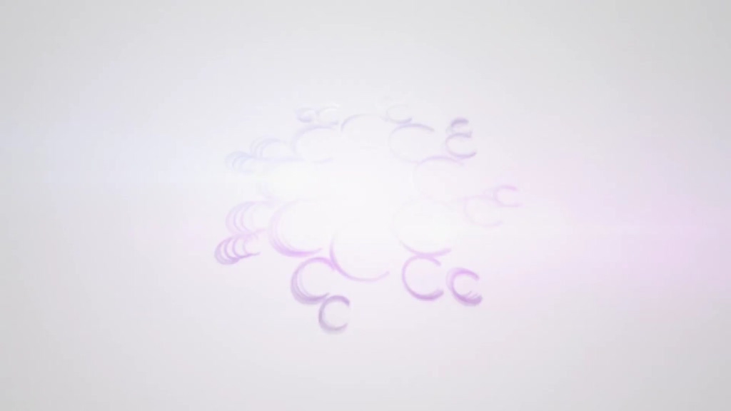 Animation rapide du logo Flip