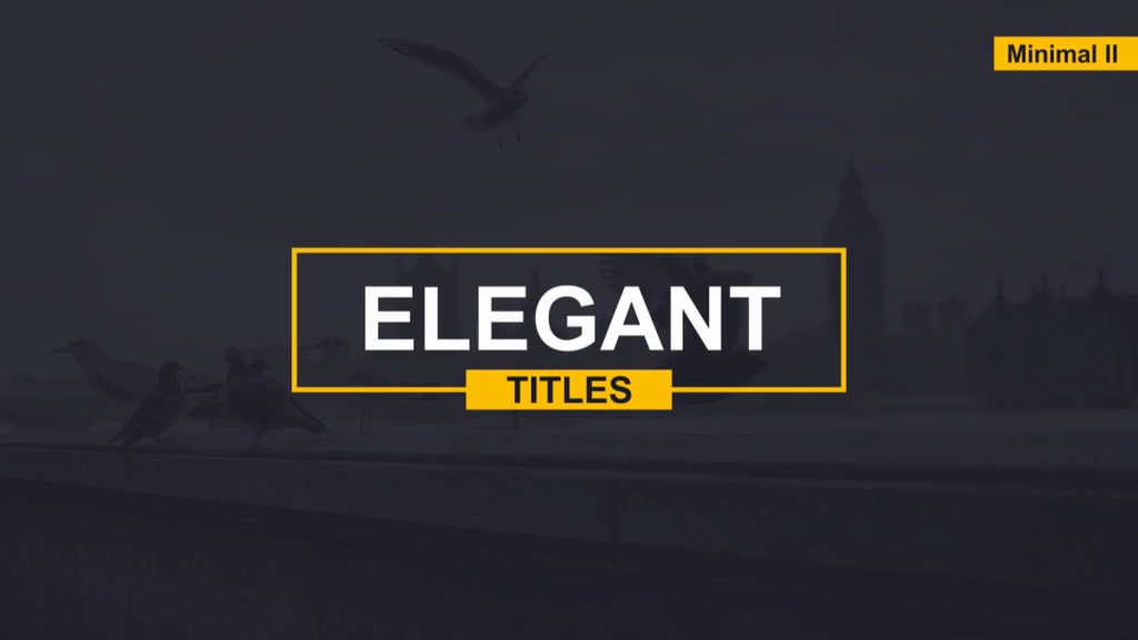 100 sets of text title layout animation