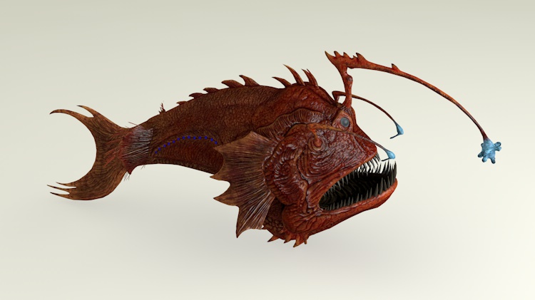 Anglerfish 3d model
