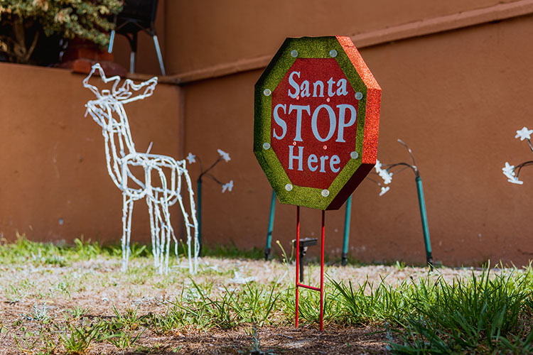 Christmas santa sign elk shape neon lights photo