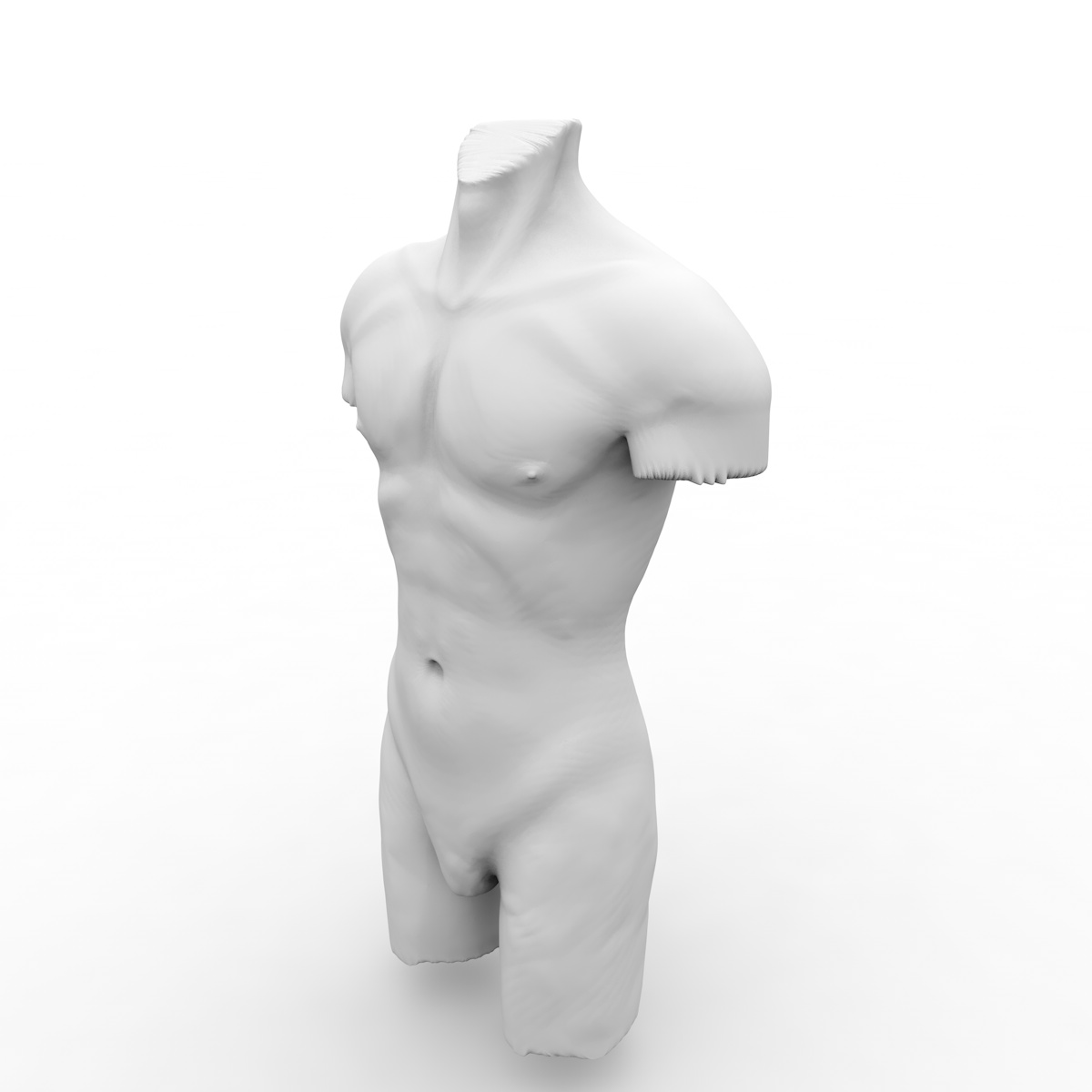 Manequins macho baixo poli torso modelo 3d