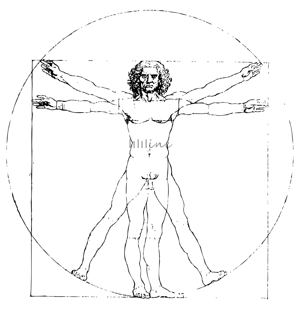 el hombre de Vitruvio de Leonardo da Vinci