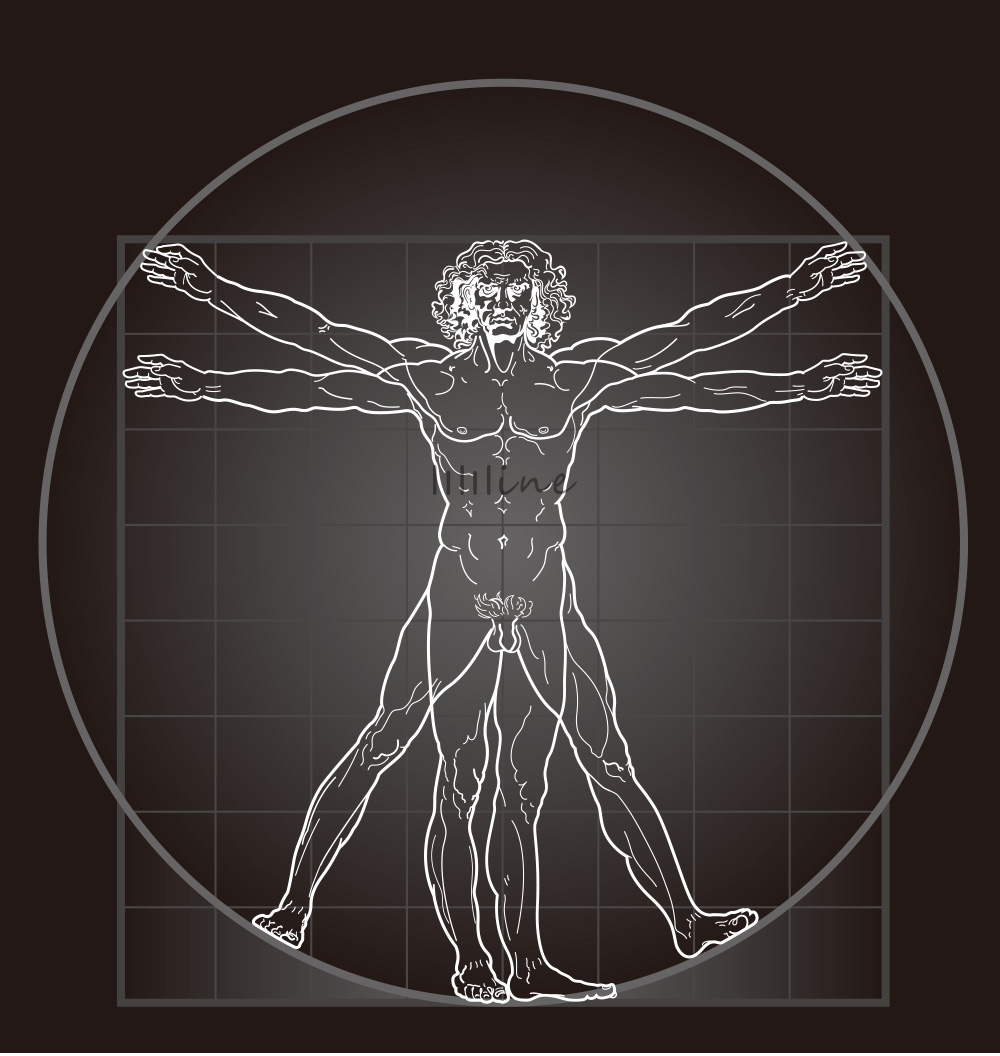 the Vitruvian Man by Leonardo da Vinci