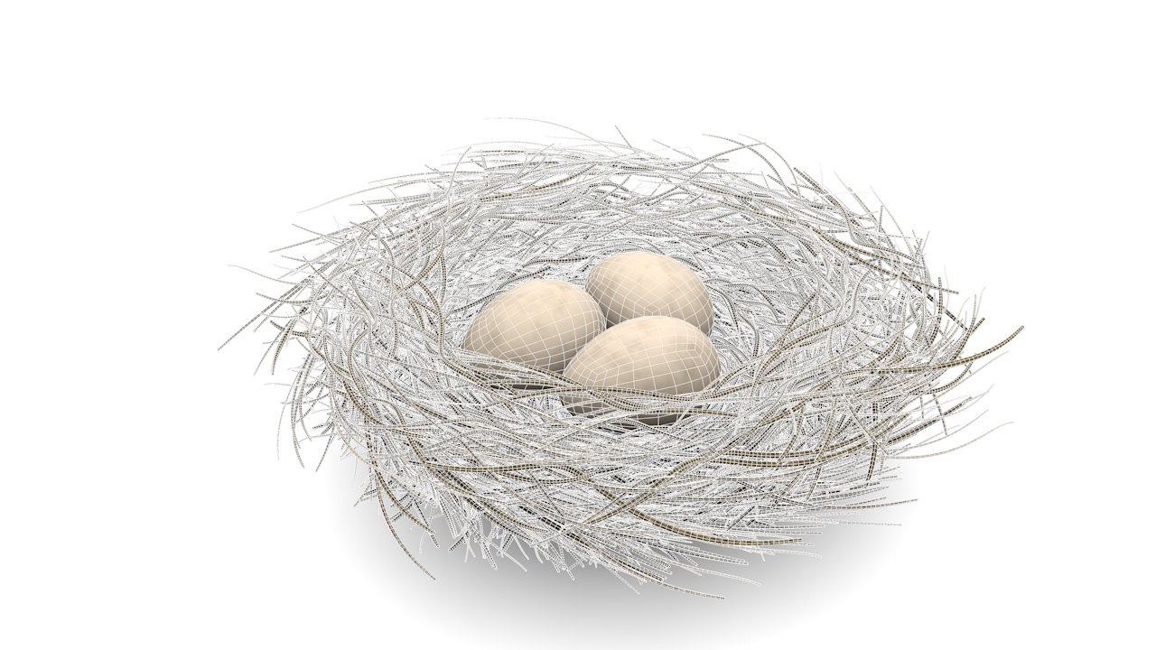 Bird nest 3d model