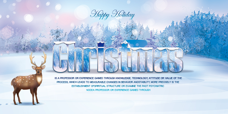 Christmas Reindeer edm gift card banner poster