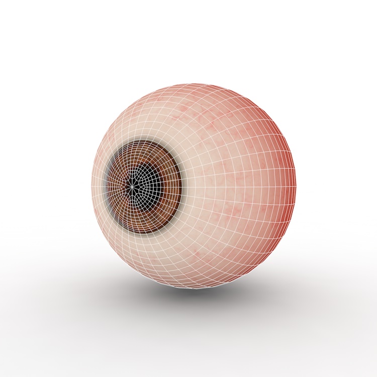 Eyeball 3d model