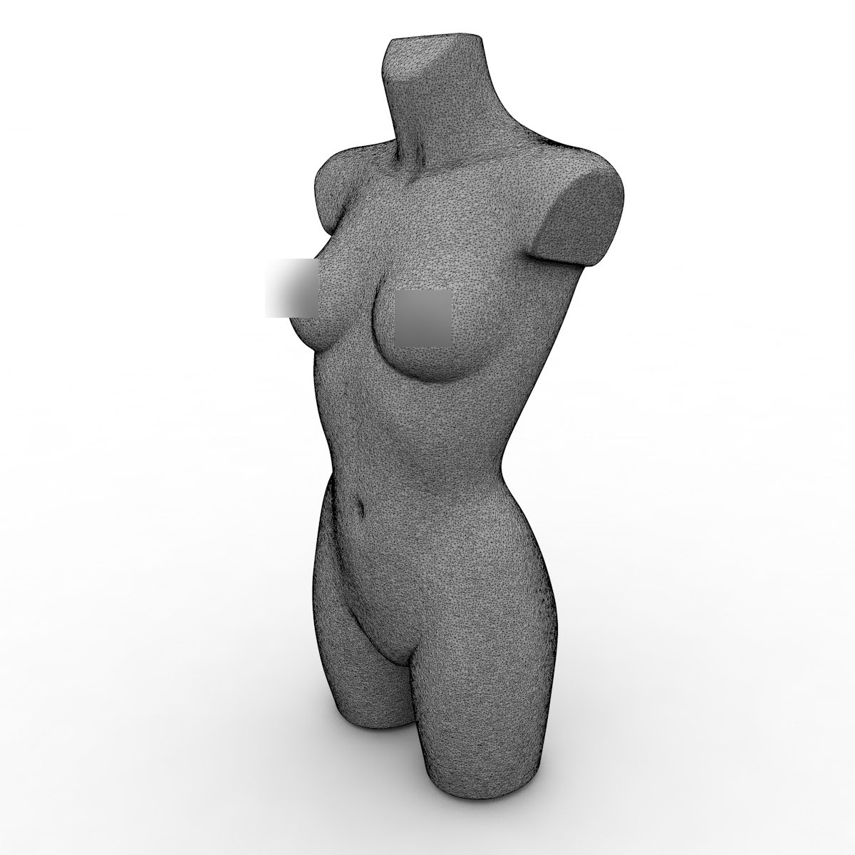 Female mannequins torso 3d model