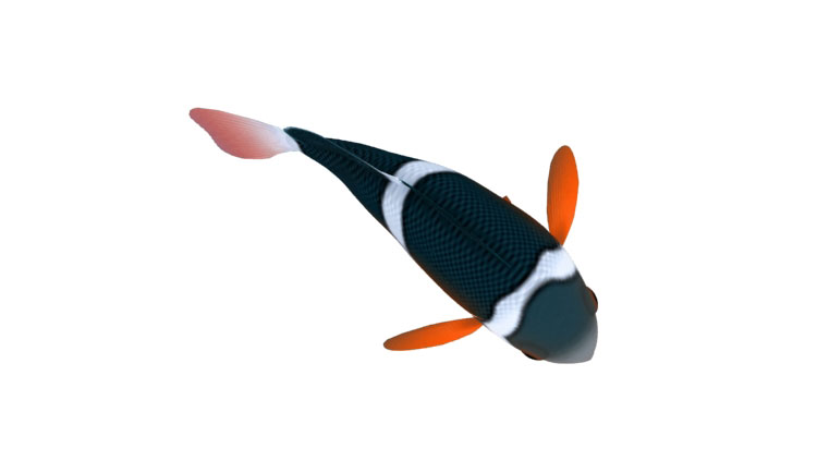 Model 3D de pește animat rigid