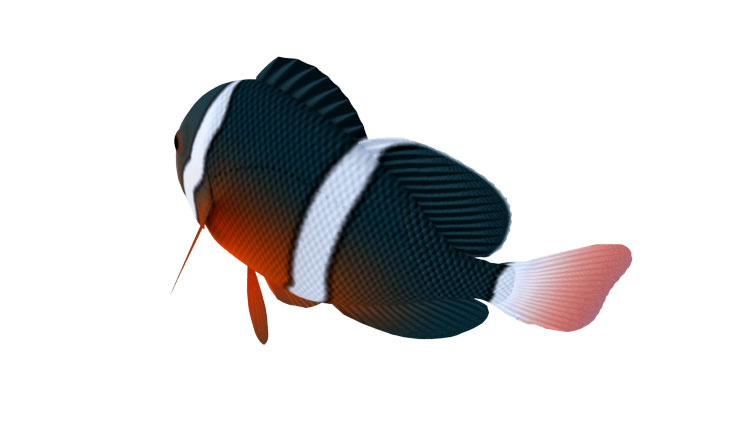 Modelo 3D de pescado animado enganchado