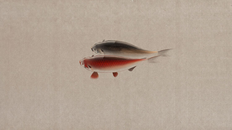 Peixe chinês pintura estilo animação modelo 3d manipulado animado