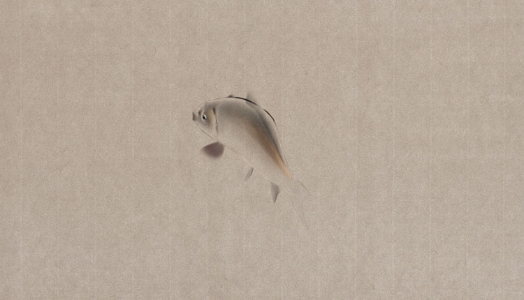 Ryba čínština malba styl animace 3d model zmanipulovaný animovaný