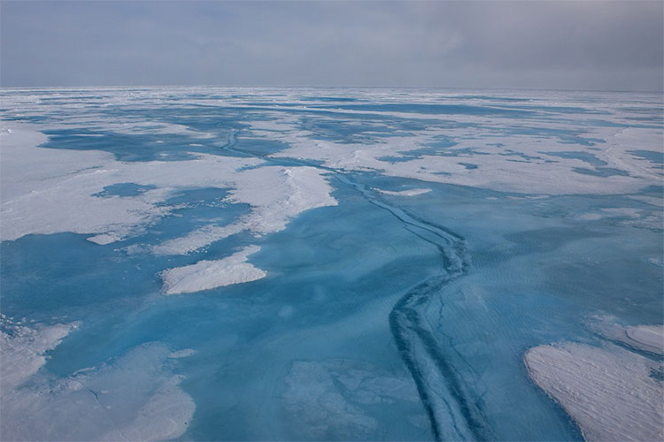 Ice Crack PS ščetke