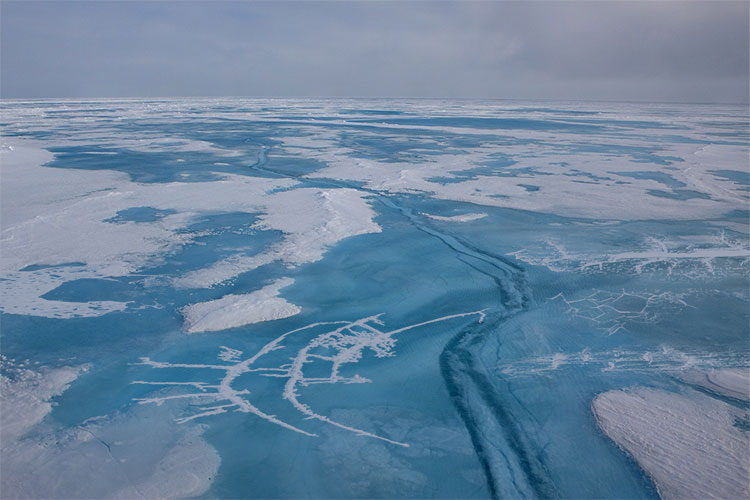 Ice Crack PS ščetke