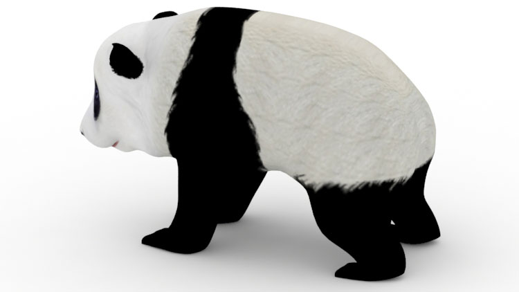 Modello panda 3d modello basso Polygon