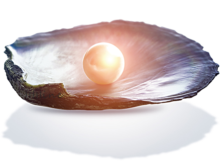 Perle med Clamshell Transparent png