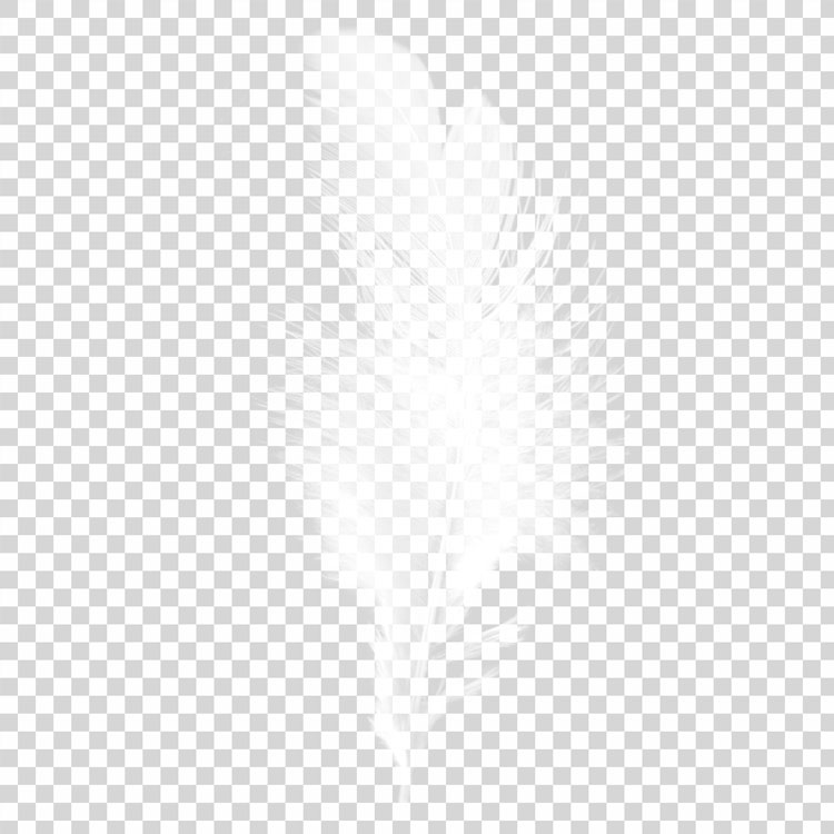 Plume Feather png Transparent Image